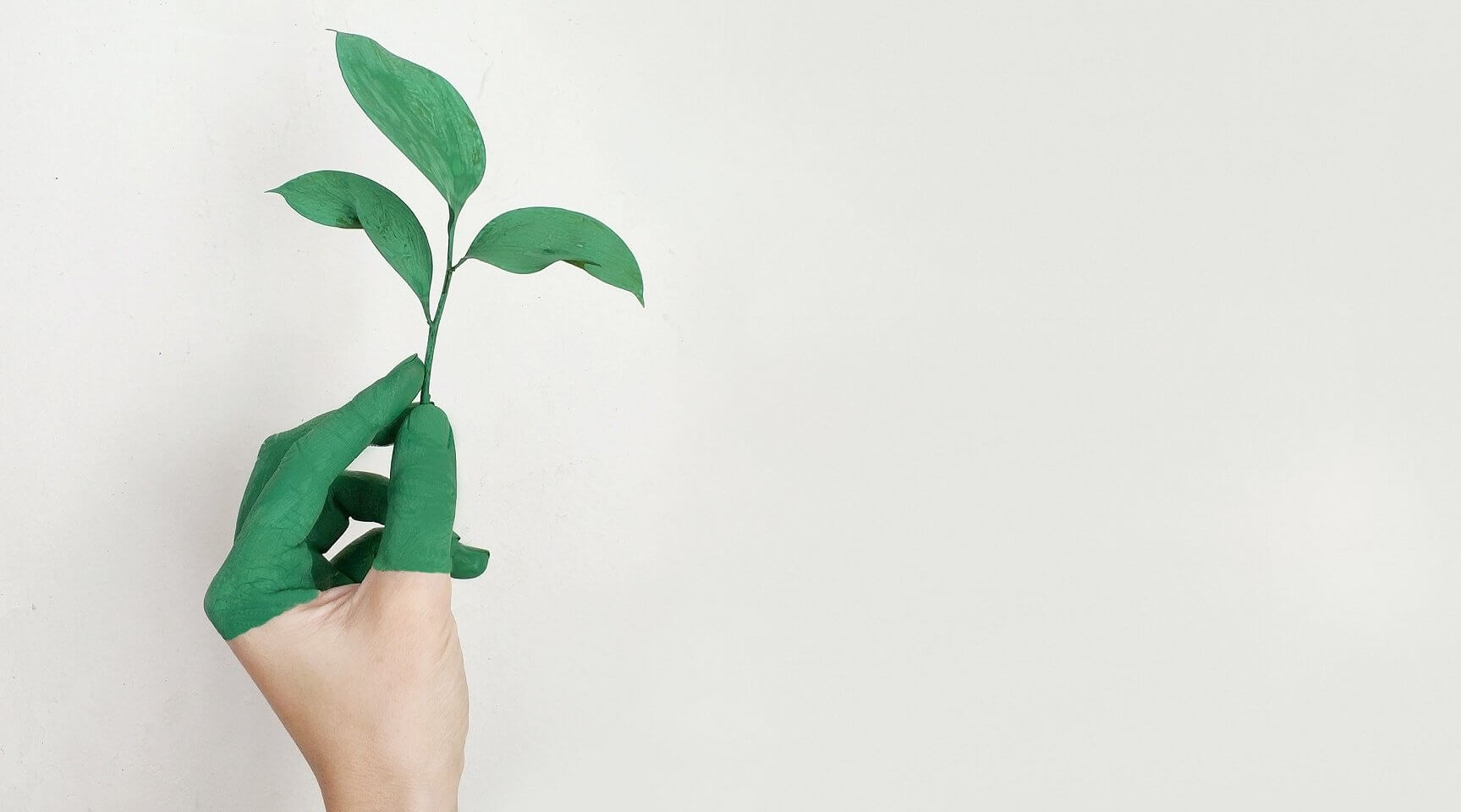 hand with plant