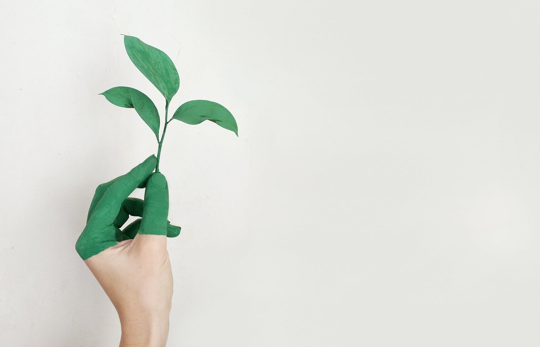 hand with plant