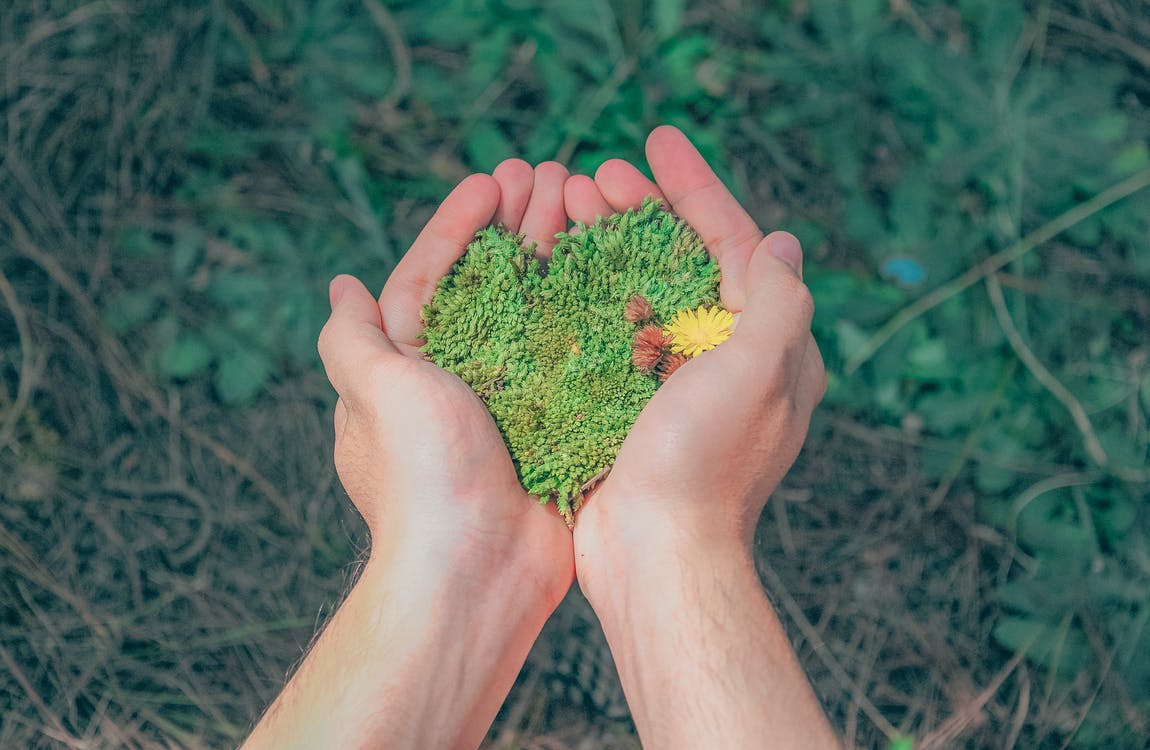 Hände die ein grünes Herz formen