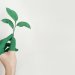 hand with plant